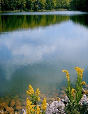 Audrey Jean Plackemeier Obituary